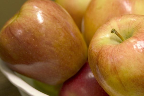 Apple Honeycrisp for sale | Shop Stuart's – Stuart's Landscaping