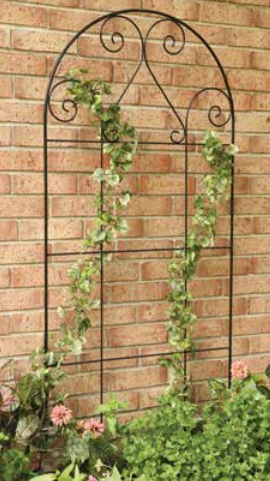 Scroll Trellis  65" By American Garden Works For Sale | Shop Stuart's