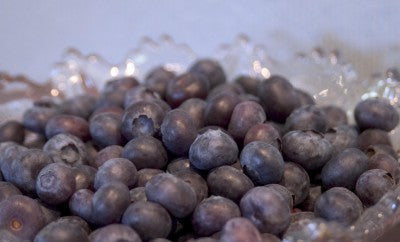 Blueberry Northblue berries photo courtesy of Bailey Nurseries